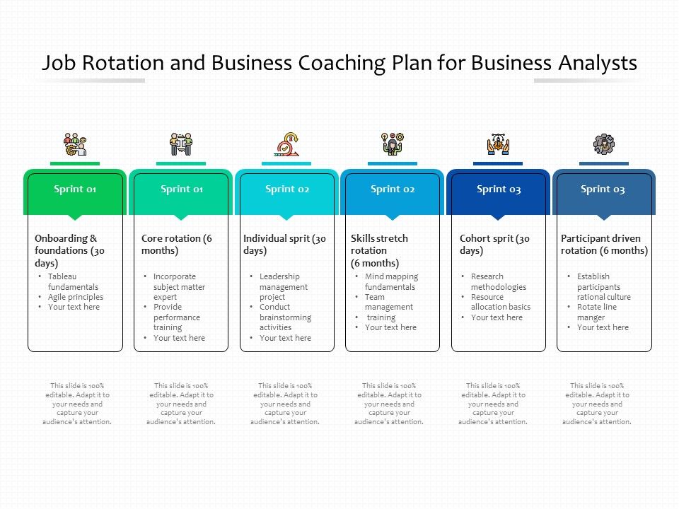 Job Rotation And Business Coaching Plan For Business Analysts Ppt PowerPoint Presentation Icon Example File PDF Slide01