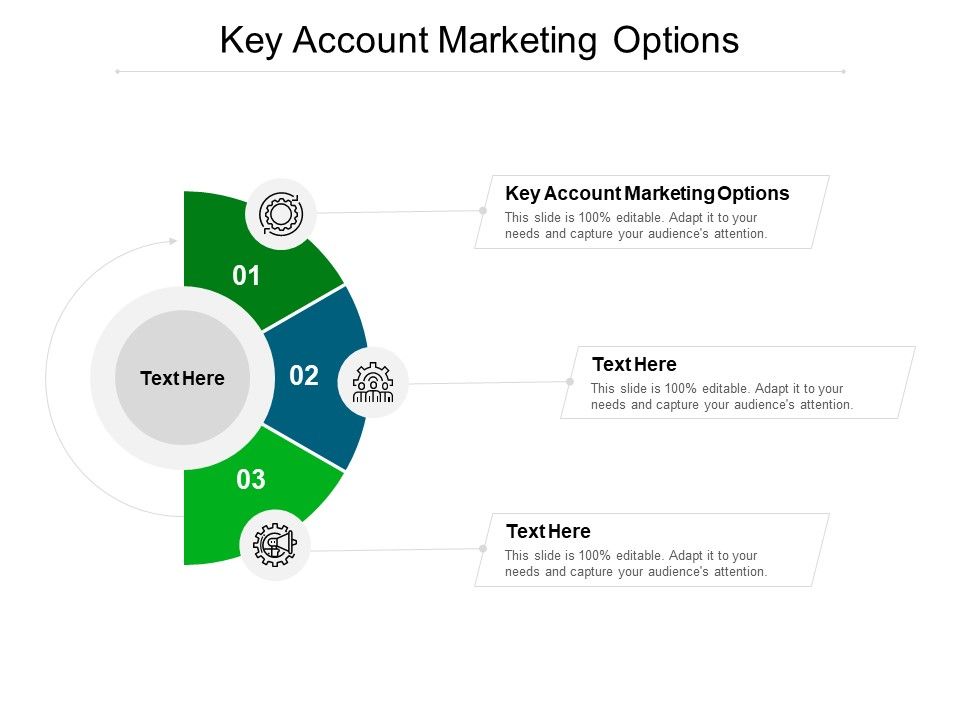 Key_Account_Marketing_Options_Ppt_PowerPoint_Presentation_Layouts_Icons_Cpb_Pdf_Slide_1.jpg