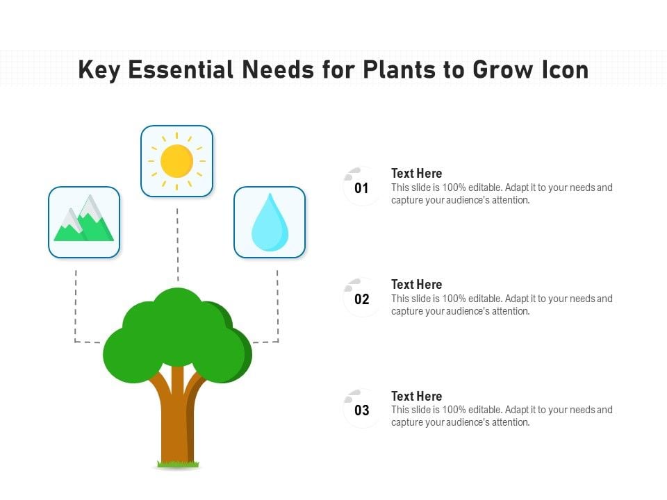 Key_Essential_Needs_For_Plants_To_Grow_Icon_Ppt_PowerPoint_Presentation_Gallery_Deck_PDF_Slide_1.jpg