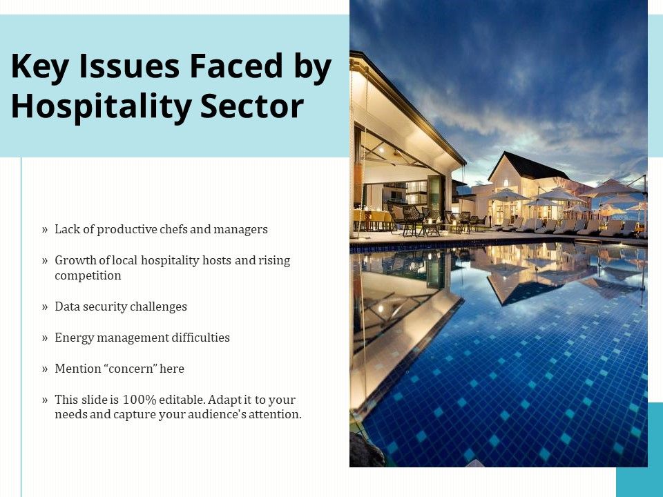 Key_Issues_Faced_By_Hospitality_Sector_Ppt_PowerPoint_Presentation_Icon_Example_PDF_Slide_1.jpg