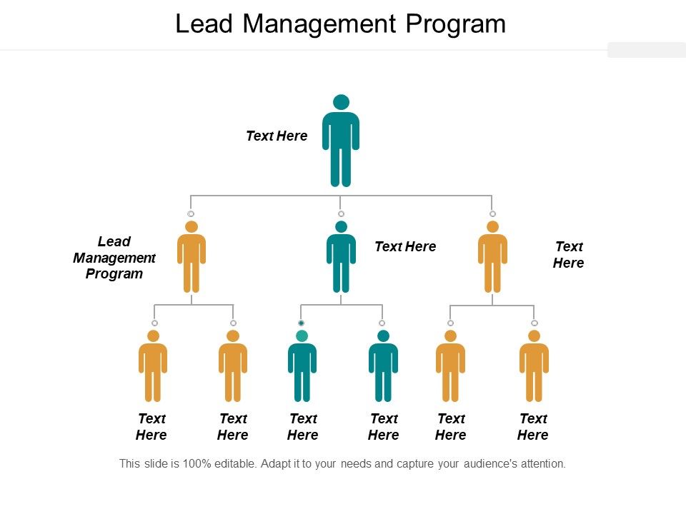 Lead_Management_Program_Ppt_PowerPoint_Presentation_Icon_Guidelines_Cpb_Slide_1.jpg