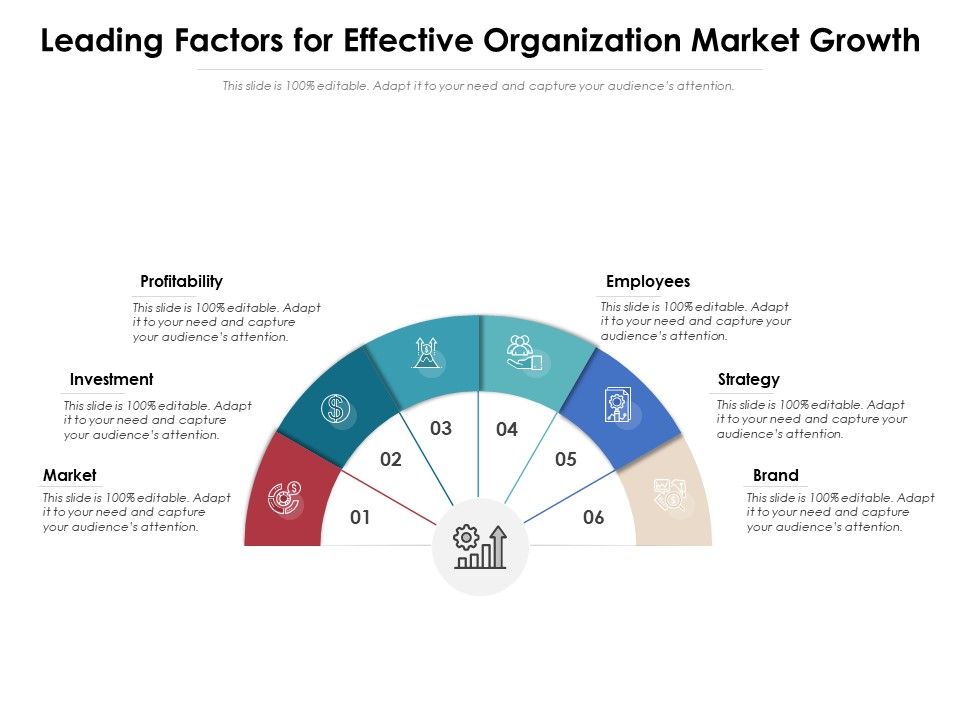 Leading_Factors_For_Effective_Organization_Market_Growth_Ppt_PowerPoint_Presentation_Icon_Example_File_PDF_Slide_1.jpg