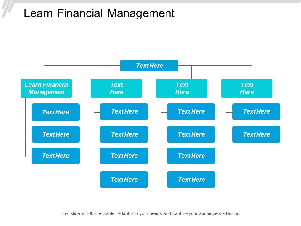 Learn_Financial_Management_Ppt_PowerPoint_Presentation_Icon_Format_Ideas_Cpb_Slide_1.jpg