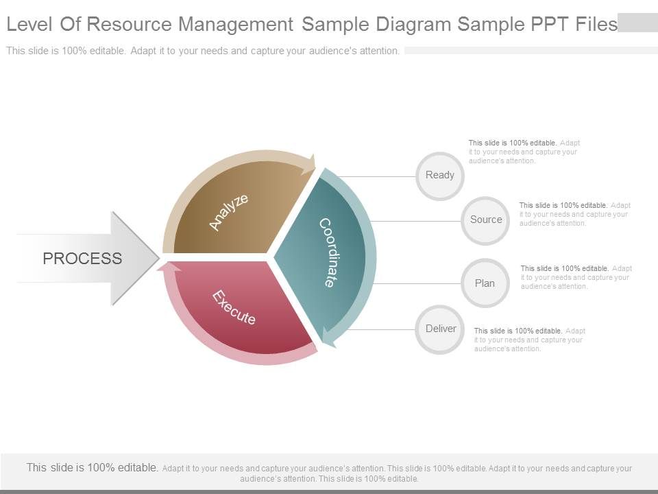 Level Of Resource Management Sample Diagram Sample Ppt Files