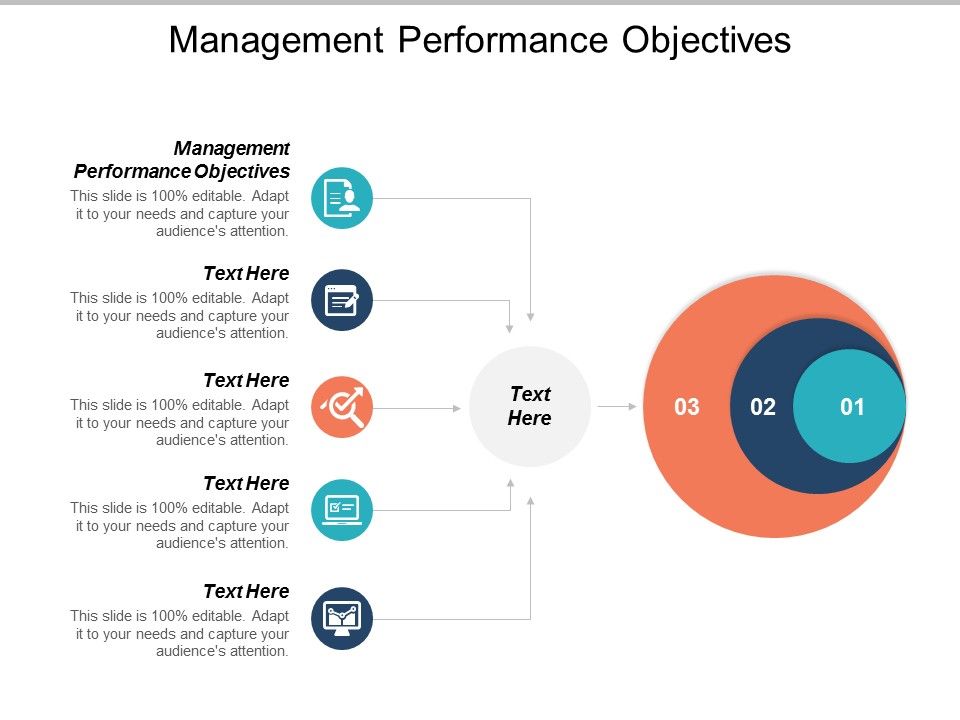 Management Performance Objectives Ppt PowerPoint Presentation Summary Demon