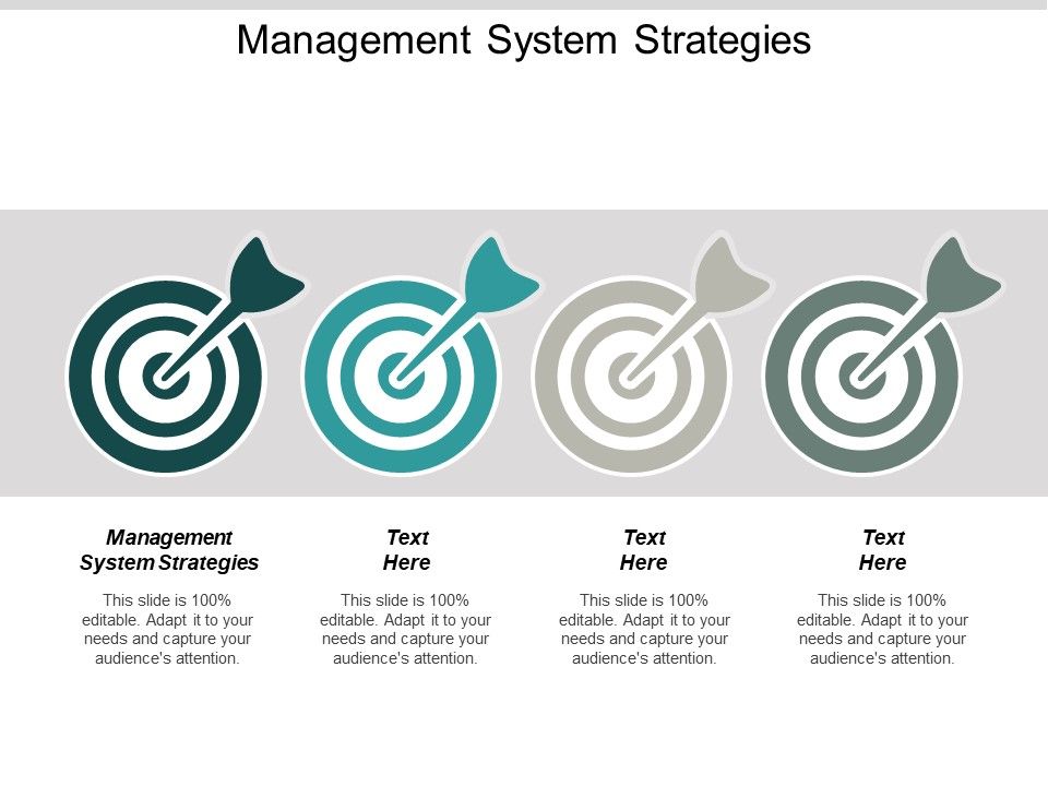 Management_System_Strategies_Ppt_PowerPoint_Presentation_Icon_Elements_Cpb_Slide_1.jpg