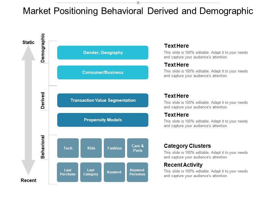 Market_Positioning_Behavioral_Derived_And_Demographic_Ppt_PowerPoint_Presentation_Ideas_Gridlines_Slide_1.jpg