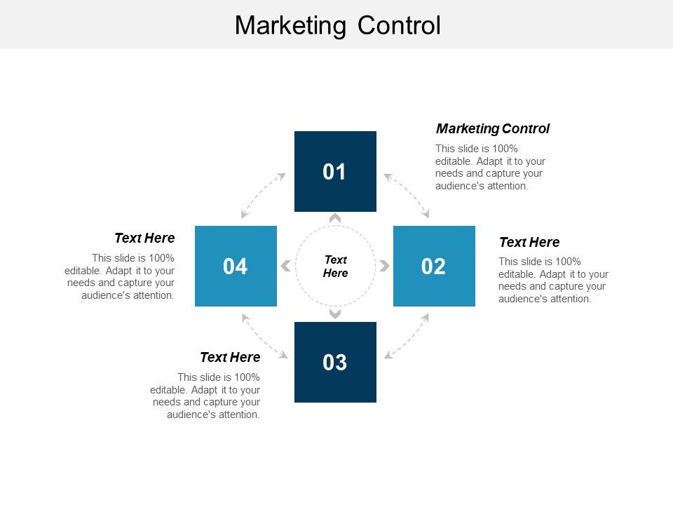 Marketing Control Ppt PowerPoint Presentation Pictures Layout Cpb