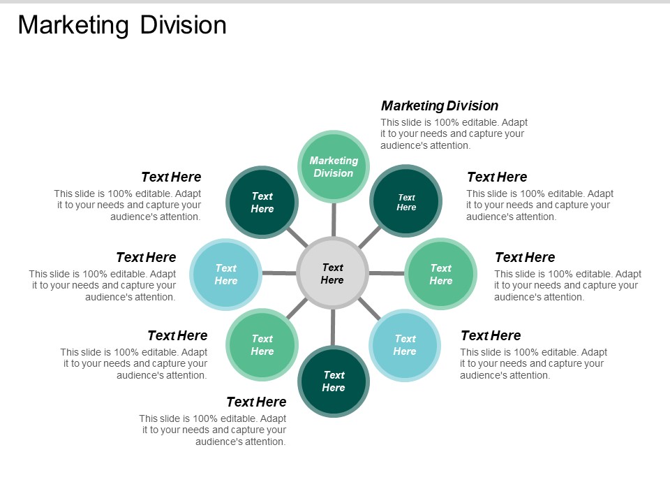 Marketing_Division_Ppt_PowerPoint_Presentation_Model_Display_Cpb_Slide_1.jpg