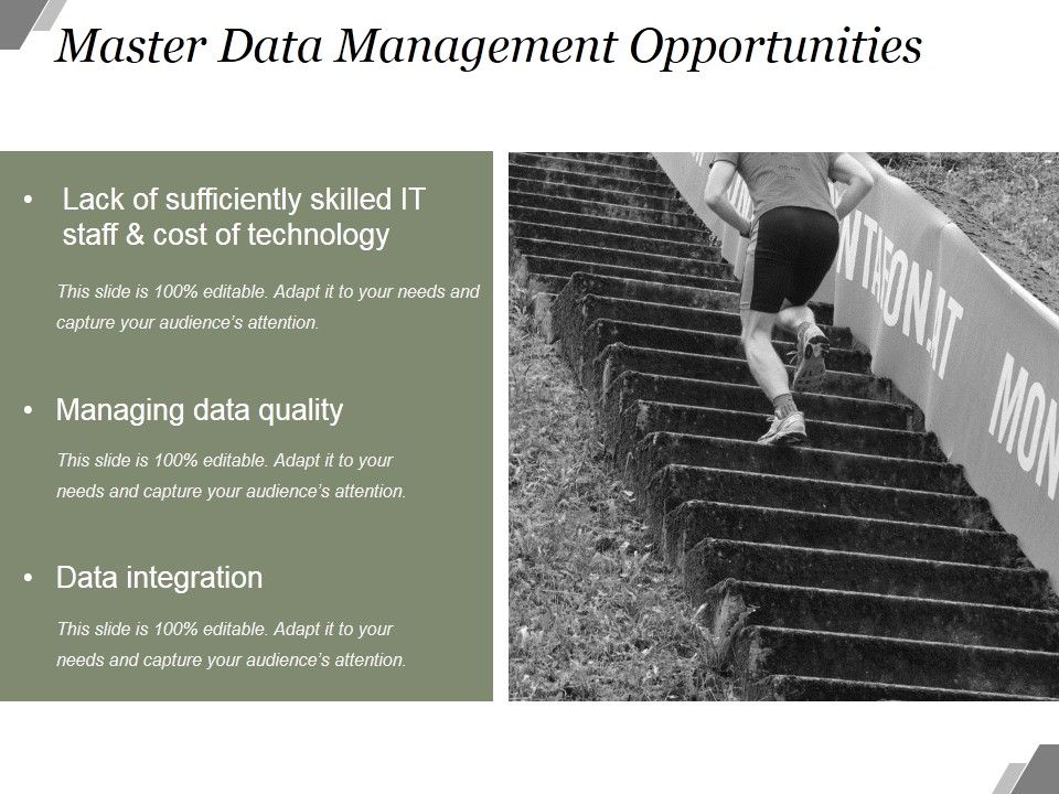 Master Data Management Opportunities Ppt PowerPoint Presentation Model