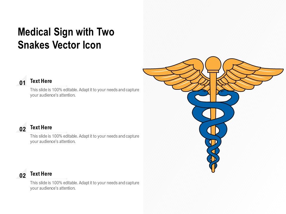 Medical_Sign_With_Two_Snakes_Vector_Icon_Ppt_PowerPoint_Presentation_Gallery_Display_PDF_Slide_1.jpg
