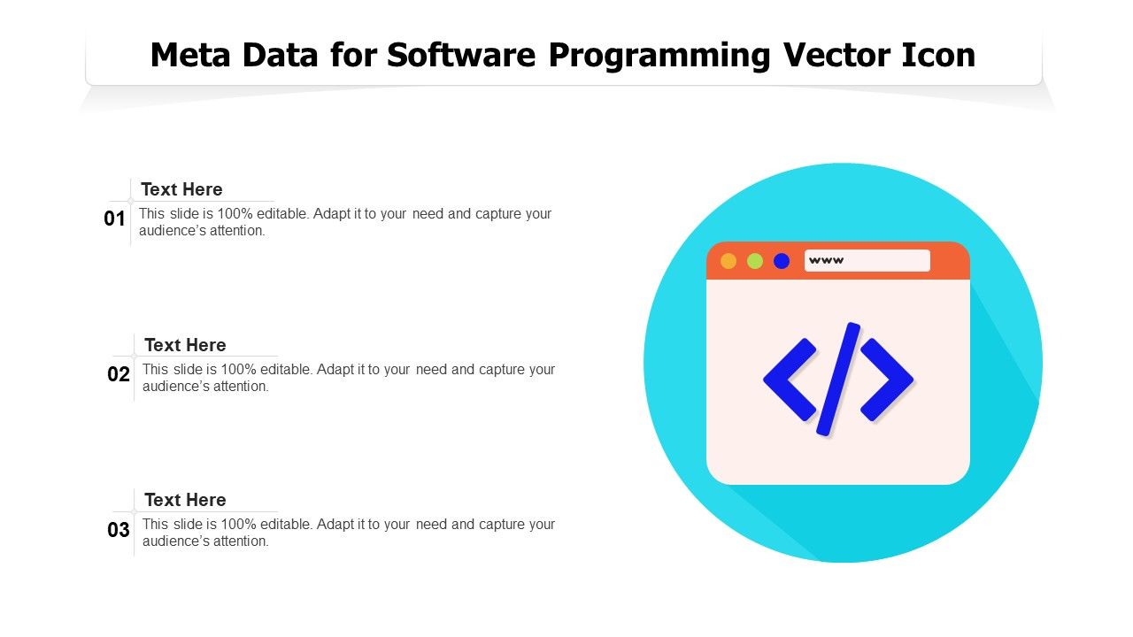 Meta_Data_For_Software_Programming_Vector_Icon_Ppt_PowerPoint_Presentation_Model_Graphics_PDF_Slide_1.jpg