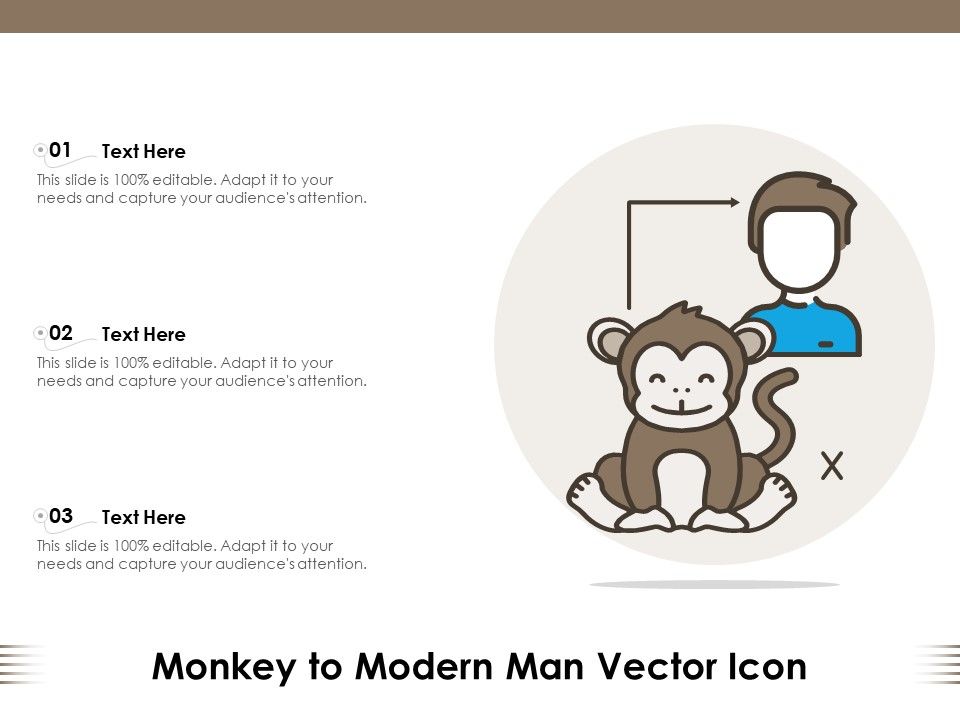 Monkey_To_Modern_Man_Vector_Icon_Ppt_PowerPoint_Presentation_Summary_Templates_PDF_Slide_1.jpg
