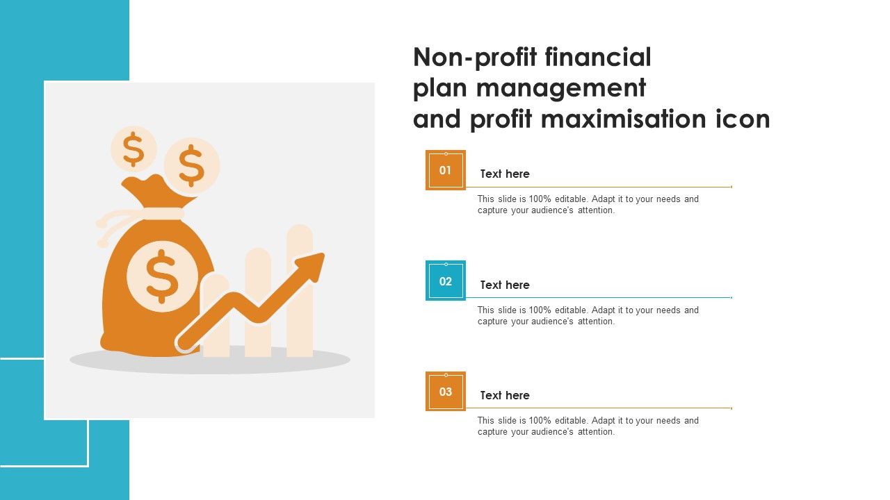 Non_Profit_Financial_Plan_Management_And_Profit_Maximisation_Icon_Brochure_PDF_Slide_1.jpg