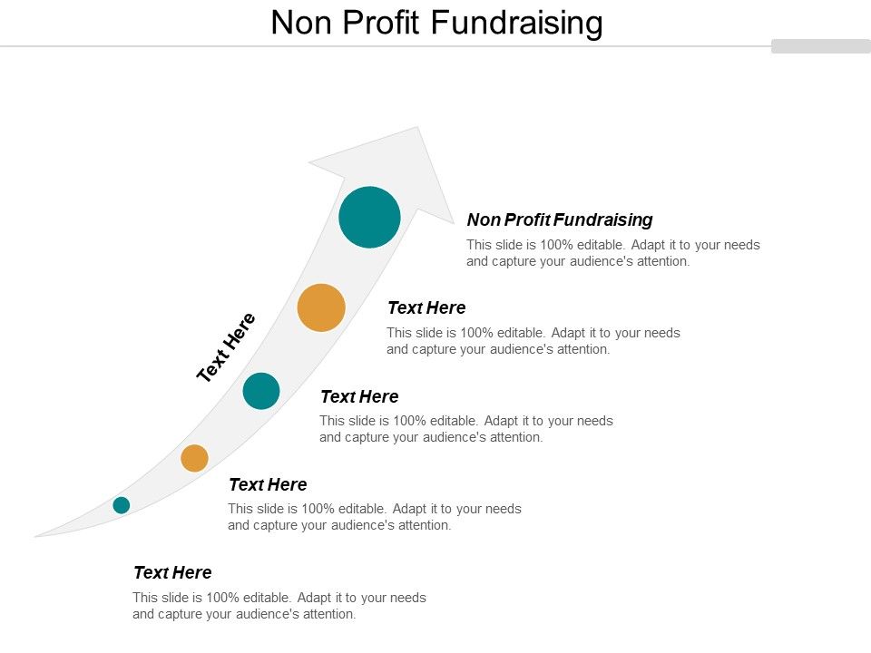 Non_Profit_Fundraising_Ppt_PowerPoint_Presentation_Icon_Ideas_Cpb_Slide_1.jpg