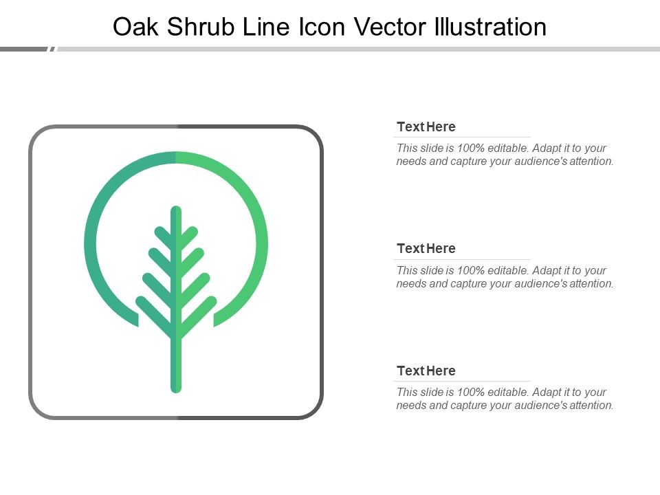 Oak_Shrub_Line_Icon_Vector_Illustration_Ppt_PowerPoint_Presentation_Pictures_Layout_PDF_Slide_1.jpg