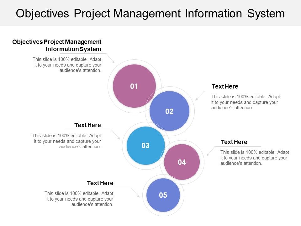 Objectives_Project_Management_Information_System_Ppt_PowerPoint_Presentation_Ideas_Deck_Cpb_Slide_1.jpg