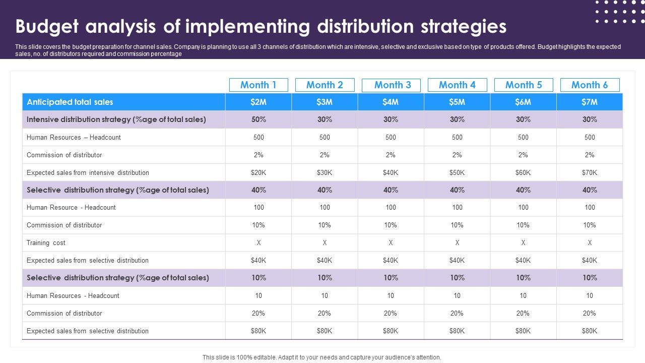 Omnichannel_Distribution_System_To_Satisfy_Customer_Needs_Budget_Analysis_Of_Implementing_Distribution_Strategies_Icons_PDF_Slide_1.jpg