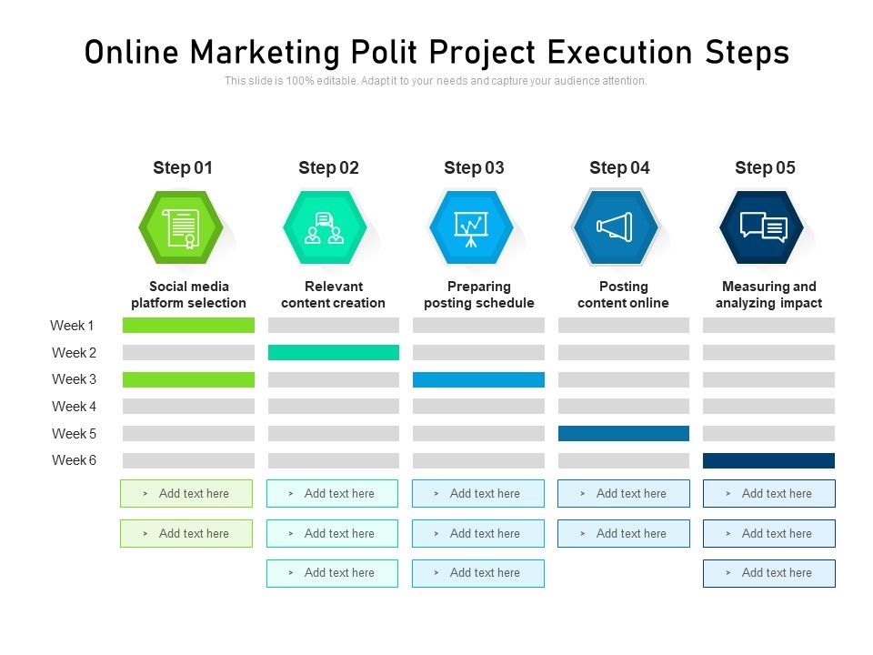 Online_Marketing_Polit_Project_Execution_Steps_Ppt_PowerPoint_Presentation_Icon_Structure_PDF_Slide_1.jpg