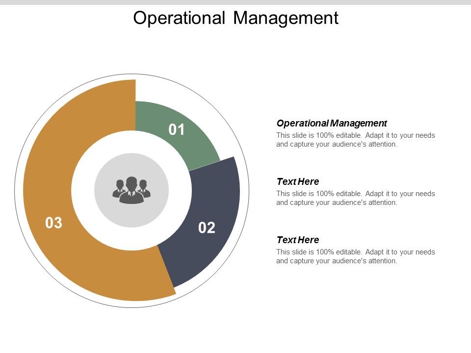 Operational Management Ppt PowerPoint Presentation Portfolio Picture Cpb