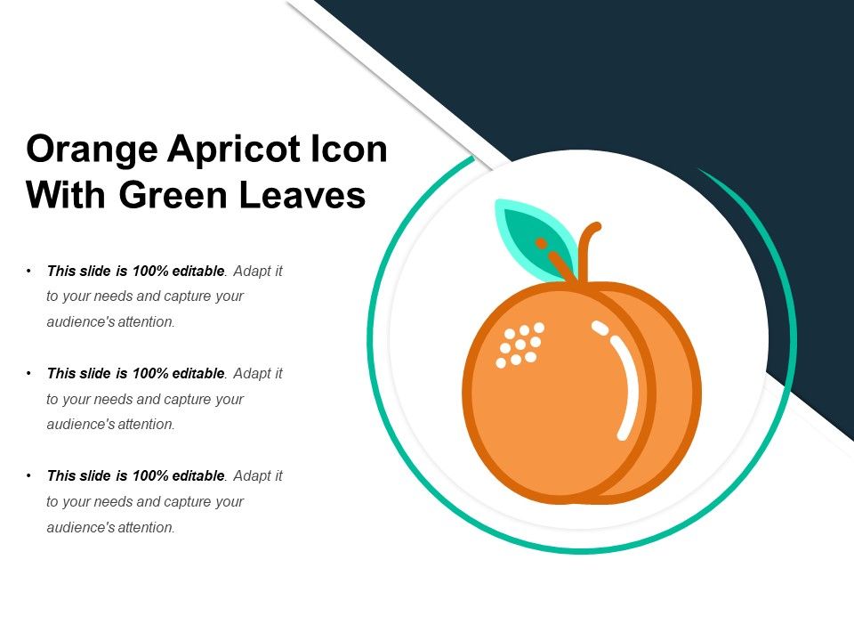 Orange_Apricot_Icon_With_Green_Leaves_Ppt_PowerPoint_Presentation_Icon_Model_PDF_Slide_1.jpg