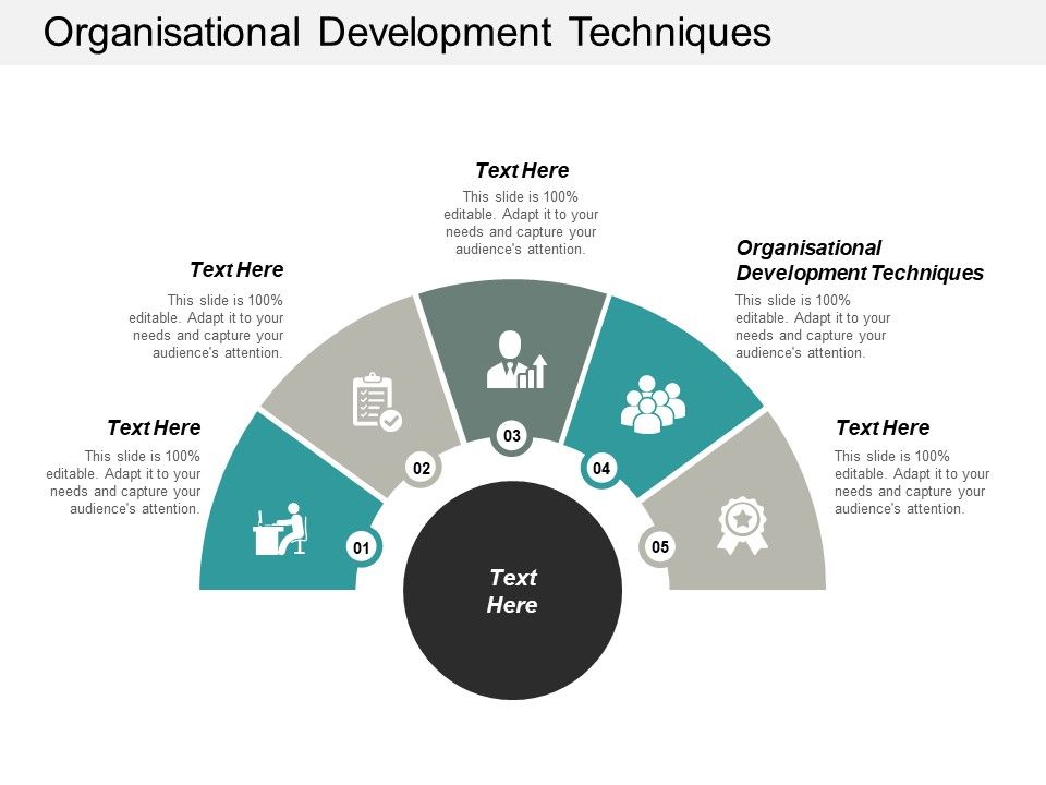 Organisational Development Techniques Ppt PowerPoint Presentation