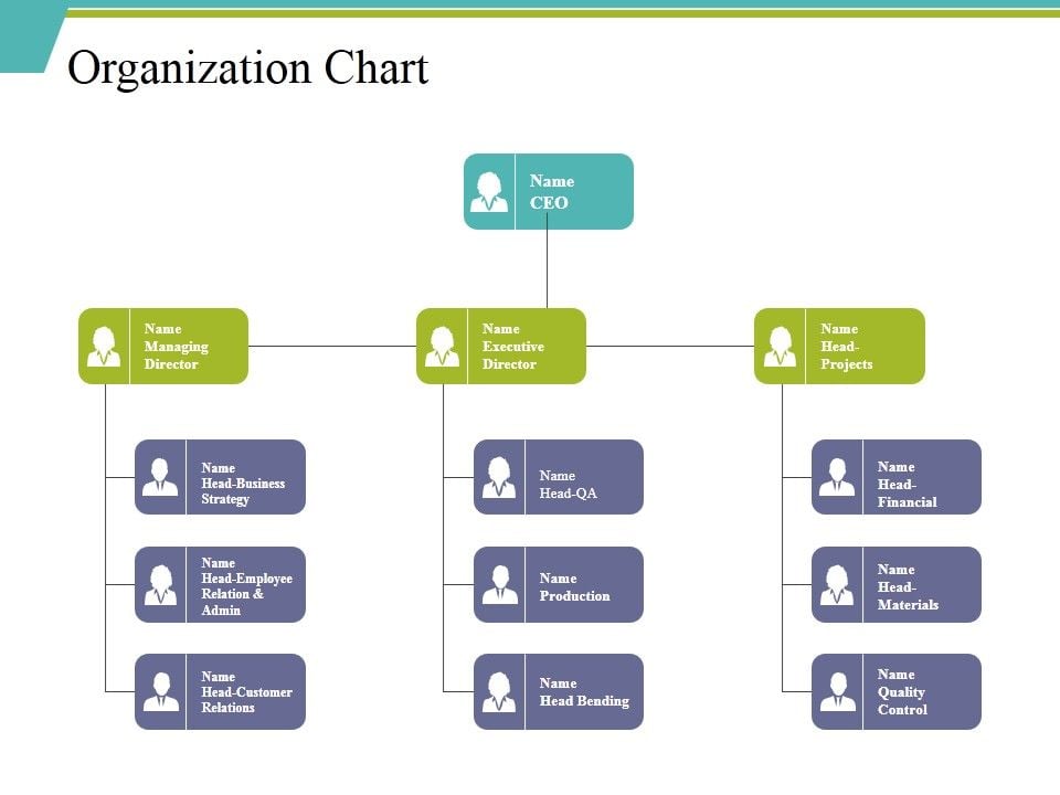 Organization Chart Ppt PowerPoint Presentation File Background Designs