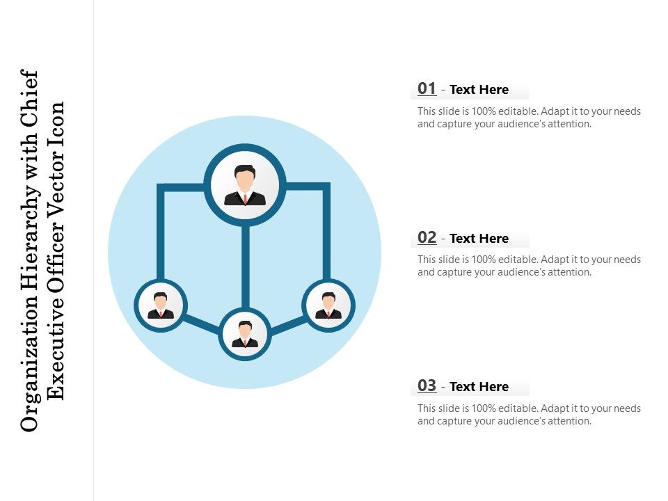 Organization_Hierarchy_With_Chief_Executive_Officer_Vector_Icon_Ppt_PowerPoint_Presentation_Portfolio_Files_PDF_Slide_1.jpg