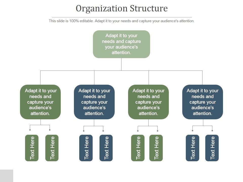 Organization Structure Ppt PowerPoint Presentation Rules