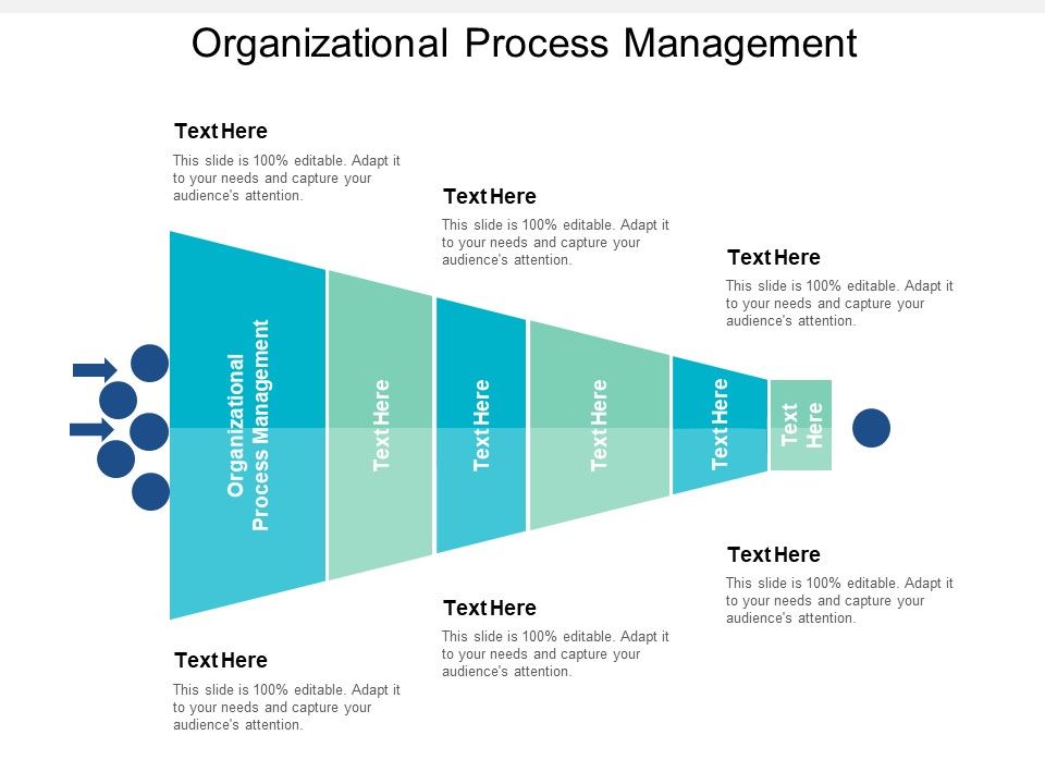 Organizational Process Management Ppt PowerPoint Presentation Deck Cpb