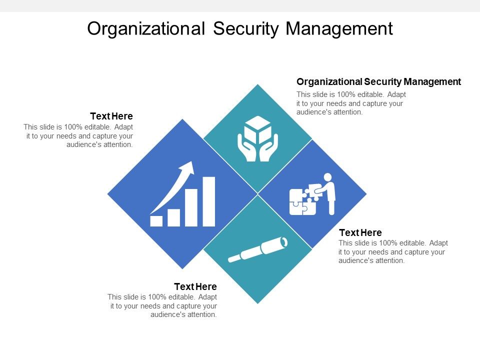 Organizational Security Management Ppt PowerPoint Presentation Gallery