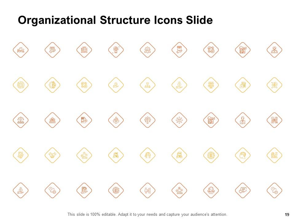 Organizational Structure Ppt PowerPoint Presentation Complete Deck With Slides Slide19