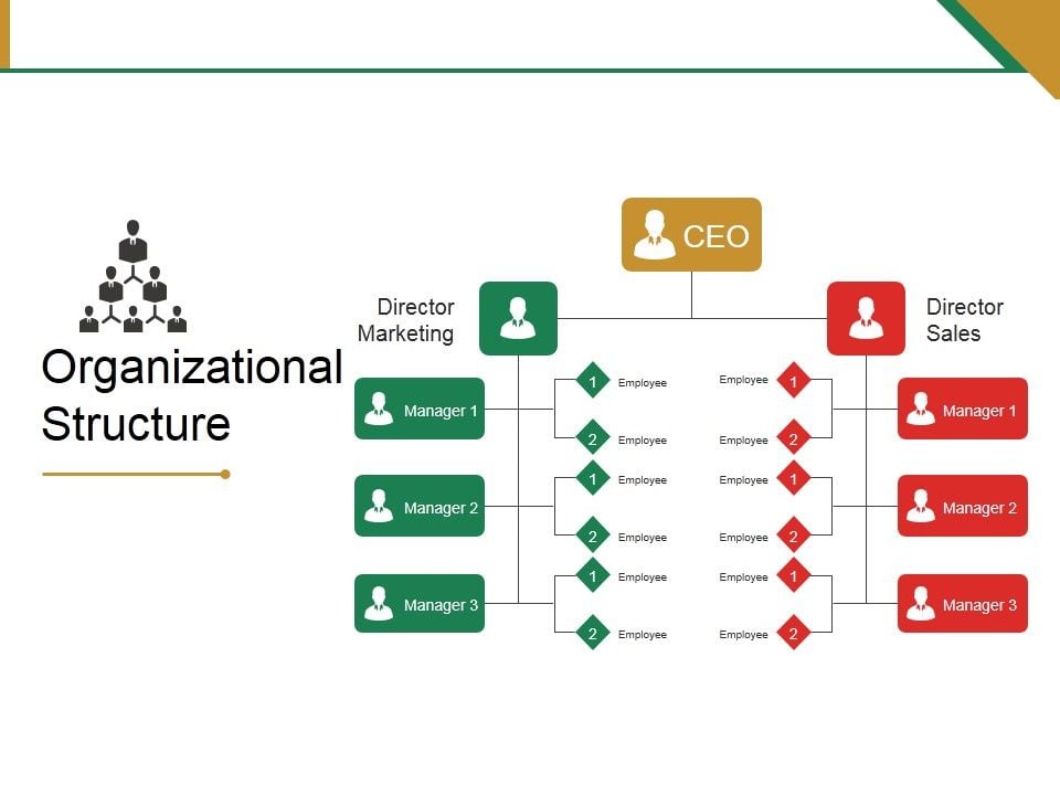 Organizational Structure Ppt PowerPoint Presentation Model Objects