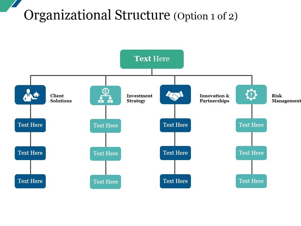 Organizational Structure Template Ppt PowerPoint Presentation Icon Example