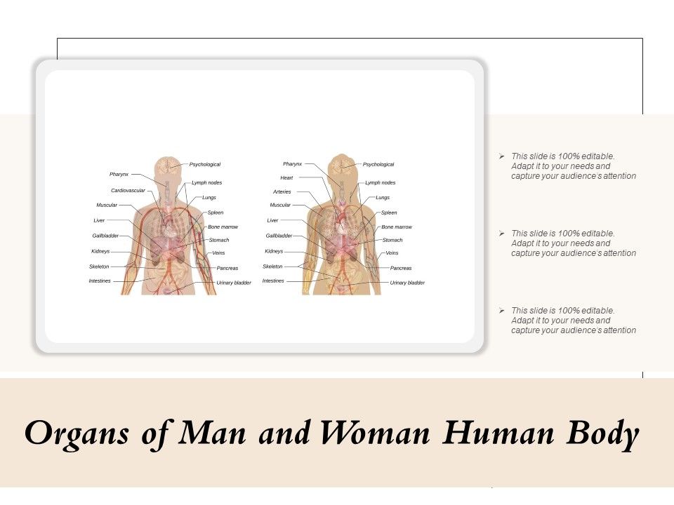 Organs_Of_Man_And_Woman_Human_Body_Ppt_PowerPoint_Presentation_Icon_Ideas_PDF_Slide_1.jpg