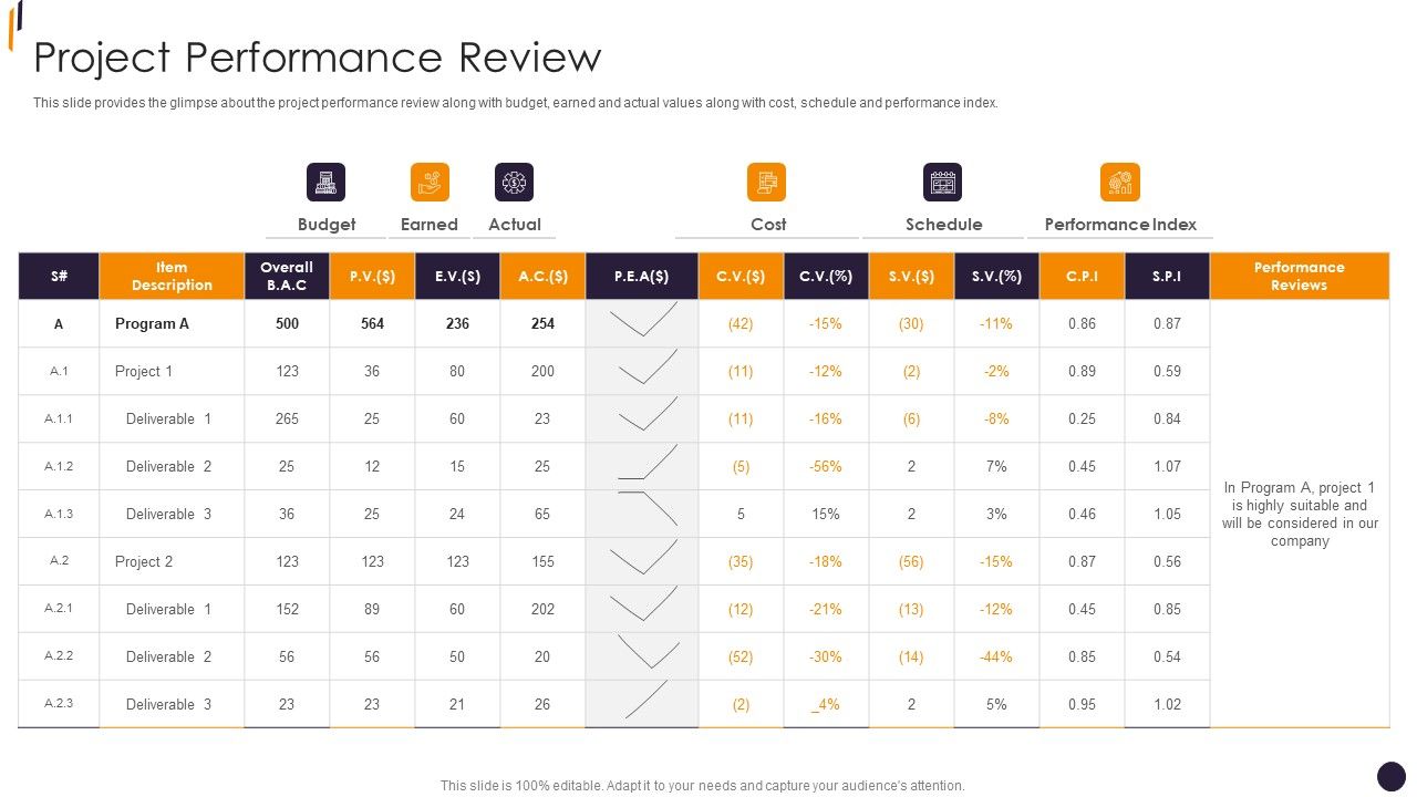 PMP Tools Project Performance Review Guidelines PDF
