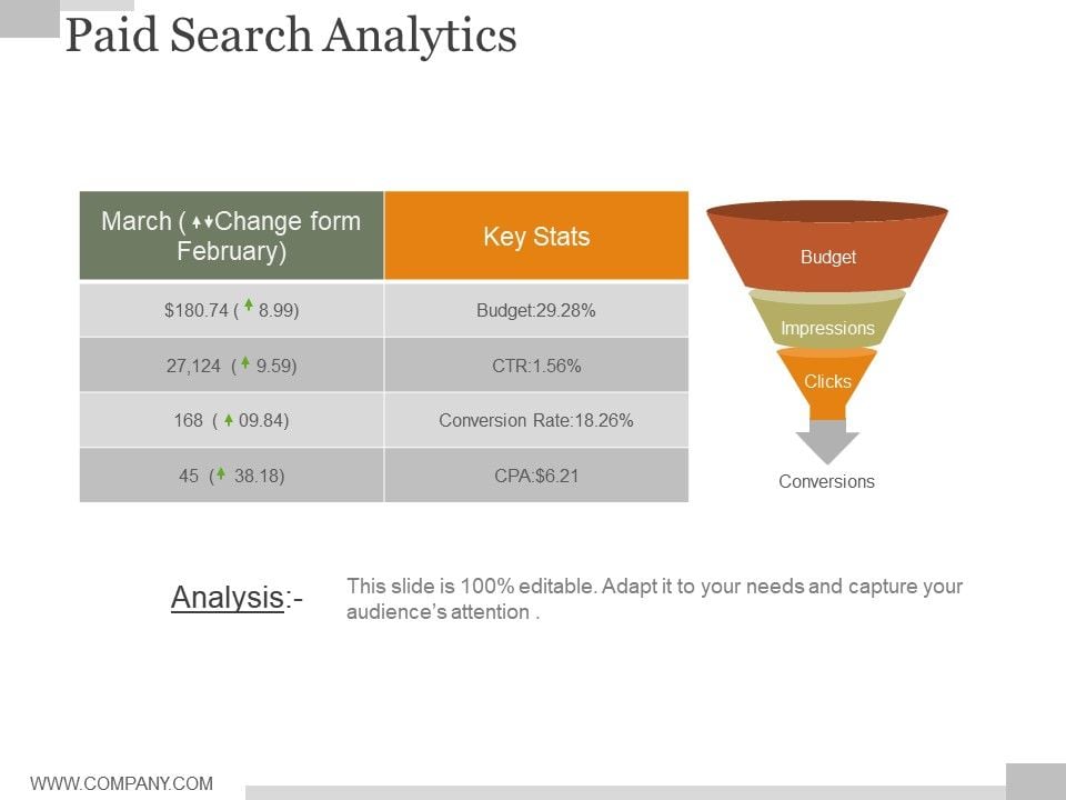 Paid Search Analytics Ppt PowerPoint Presentation Guidelines