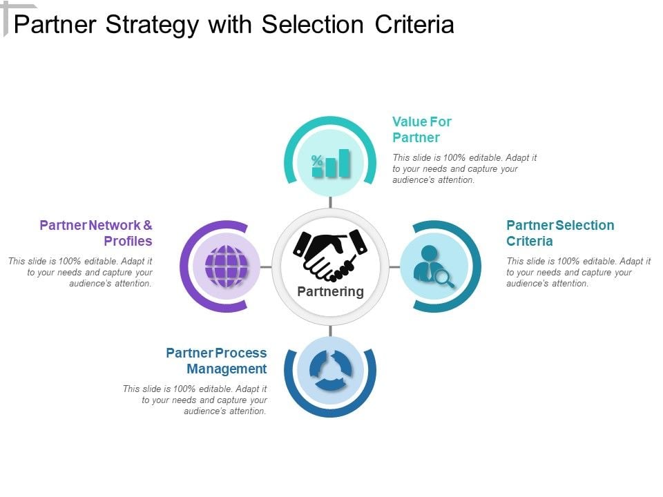 Partner_Strategy_With_Selection_Criteria_Ppt_PowerPoint_Presentation_Icon_Visual_Aids_PDF_Slide_1.jpg