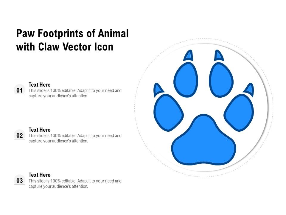 Paw_Footprints_Of_Animal_With_Claw_Vector_Icon_Ppt_PowerPoint_Presentation_Slides_Example_File_PDF_Slide_1.jpg