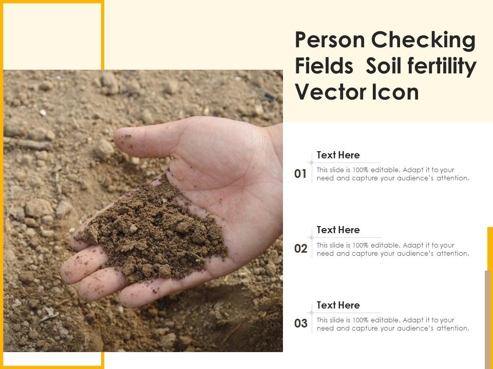 Person_Checking_Fields_Soil_Fertility_Vector_Icon_Ppt_PowerPoint_Presentation_Professional_Tips_PDF_Slide_1.jpg