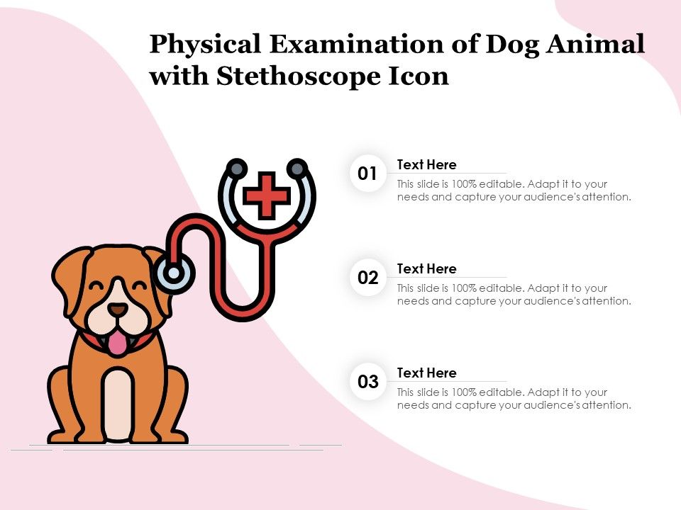 Physical_Examination_Of_Dog_Animal_With_Stethoscope_Icon_Ppt_PowerPoint_Presentation_Summary_Icons_PDF_Slide_1.jpg
