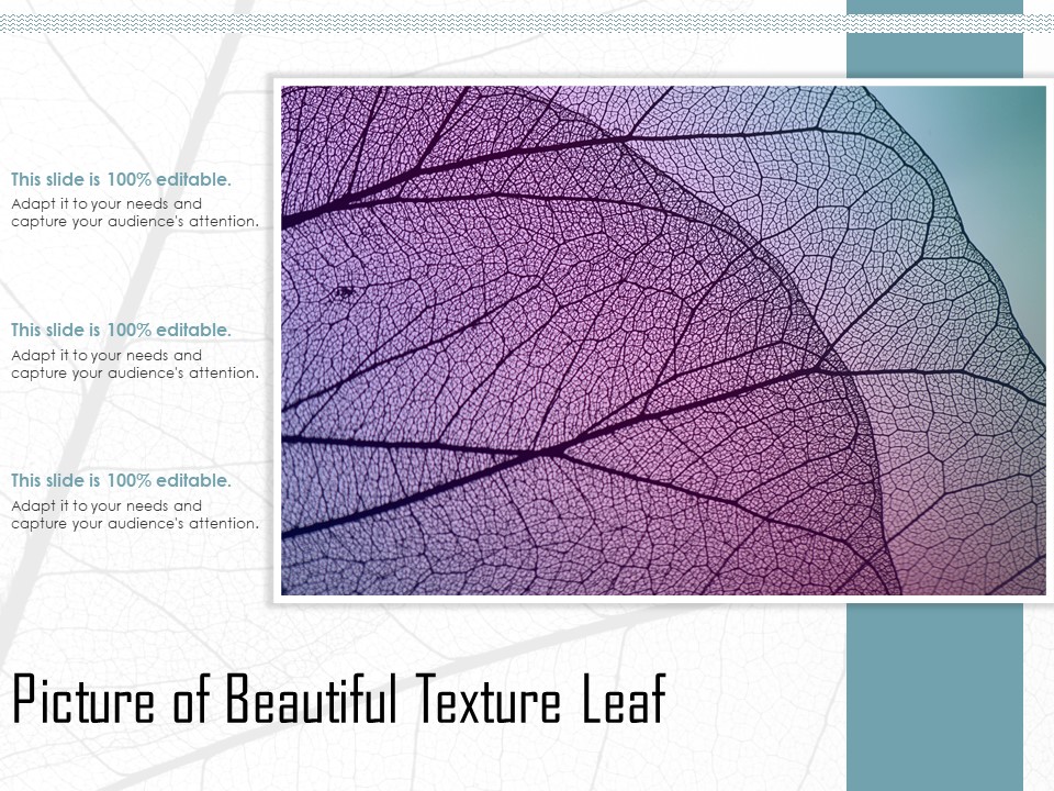 Picture_Of_Beautiful_Texture_Leaf_Ppt_PowerPoint_Presentation_Styles_Model_PDF_Slide_1.jpg