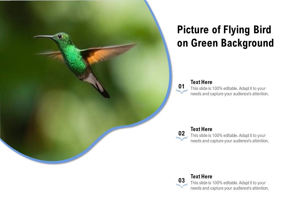 Picture_Of_Flying_Bird_On_Green_Background_Ppt_PowerPoint_Presentation_Icon_Show_PDF_Slide_1.jpg