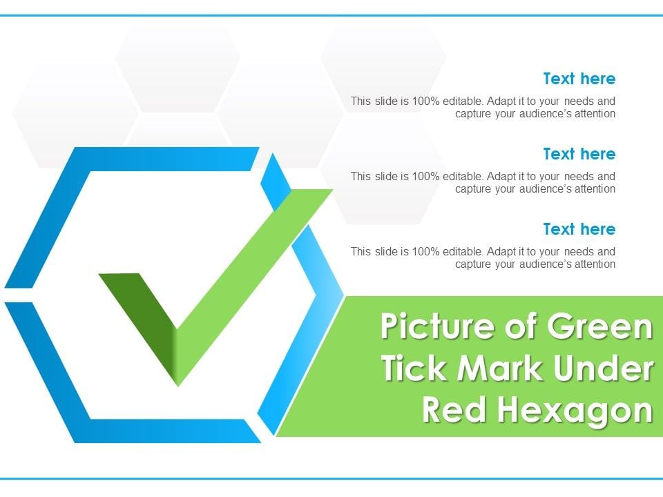 Picture_Of_Green_Tick_Mark_Under_Red_Hexagon_Ppt_PowerPoint_Presentation_Icon_Master_Slide_Slide_1.jpg