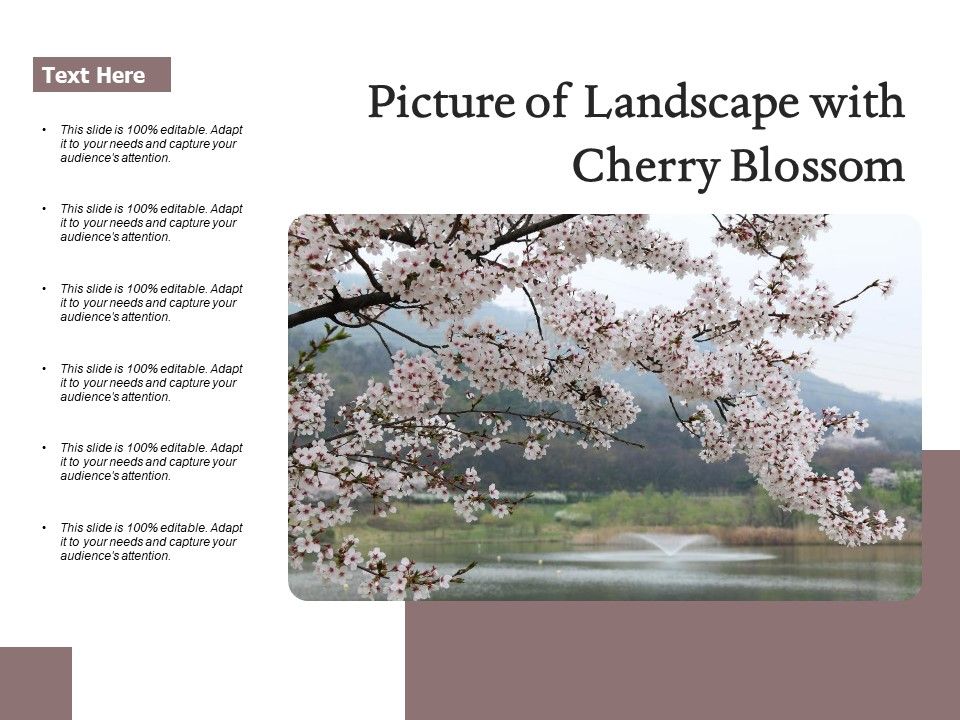 Picture_Of_Landscape_With_Cherry_Blossom_Ppt_PowerPoint_Presentation_Icon_Portfolio_PDF_Slide_1.jpg