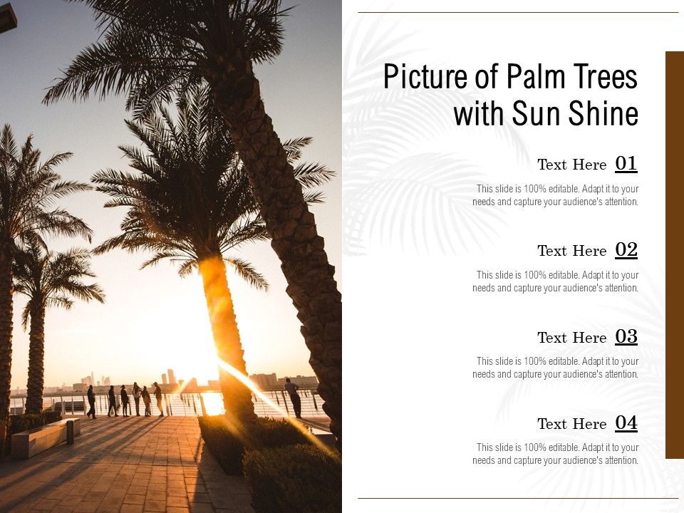 Picture_Of_Palm_Trees_With_Sun_Shine_Ppt_PowerPoint_Presentation_Icon_Gridlines_PDF_Slide_1.jpg