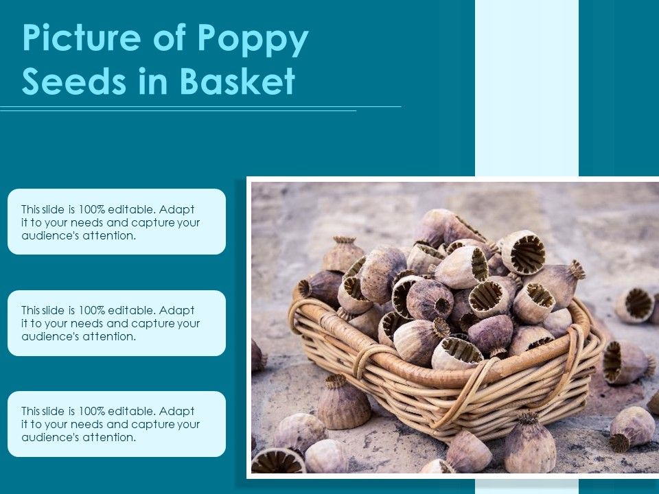 Picture_Of_Poppy_Seeds_In_Basket_Ppt_PowerPoint_Presentation_Icon_Portrait_PDF_Slide_1.jpg