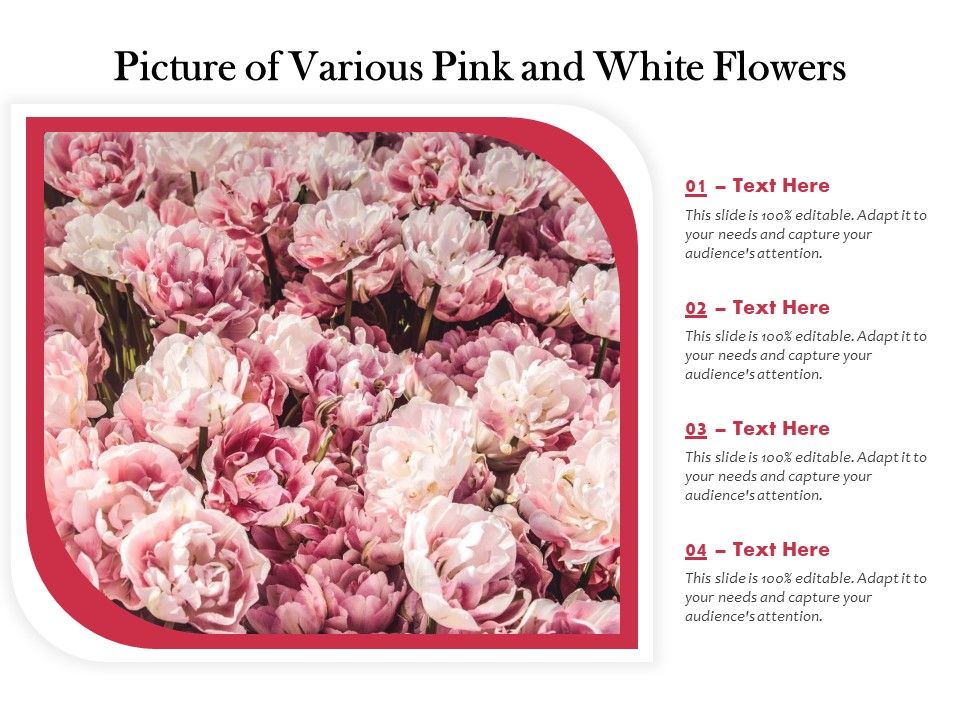 Picture_Of_Various_Pink_And_White_Flowers_Ppt_PowerPoint_Presentation_Icon_PDF_Slide_1.jpg