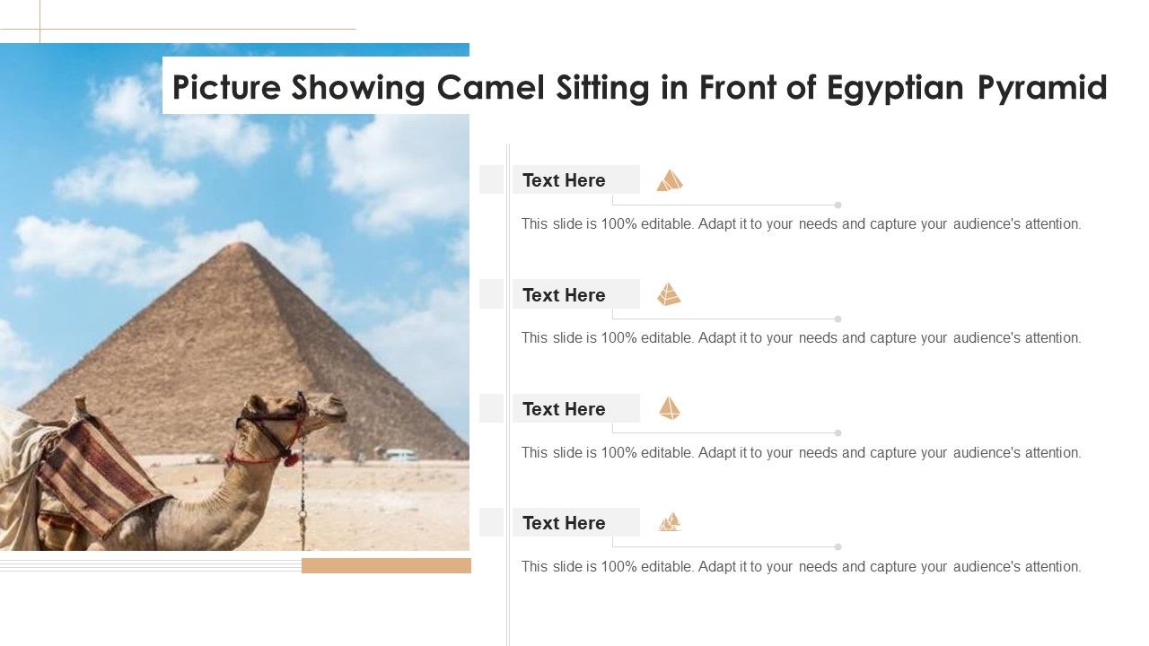 Picture_Showing_Camel_Sitting_In_Front_Of_Egyptian_Pyramid_Ppt_PowerPoint_Presentation_Icon_Deck_PDF_Slide_1.jpg