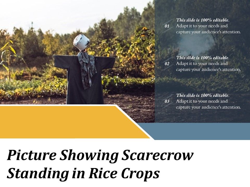 Picture_Showing_Scarecrow_Standing_In_Rice_Crops_Ppt_PowerPoint_Presentation_Show_Icon_PDF_Slide_1.jpg